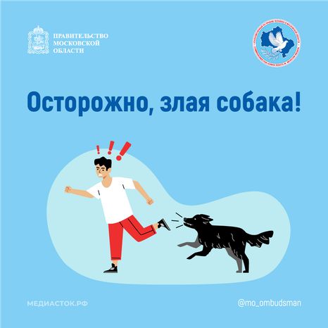 Осторожно злая собака квадрат 01