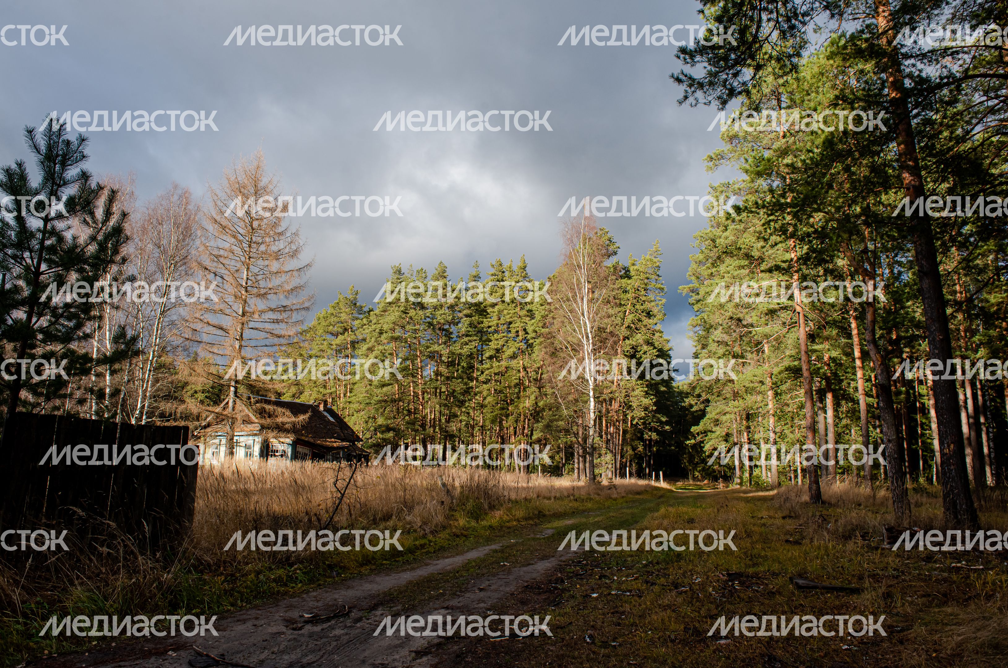 Осенние виды природного заказника Арюшина Гора