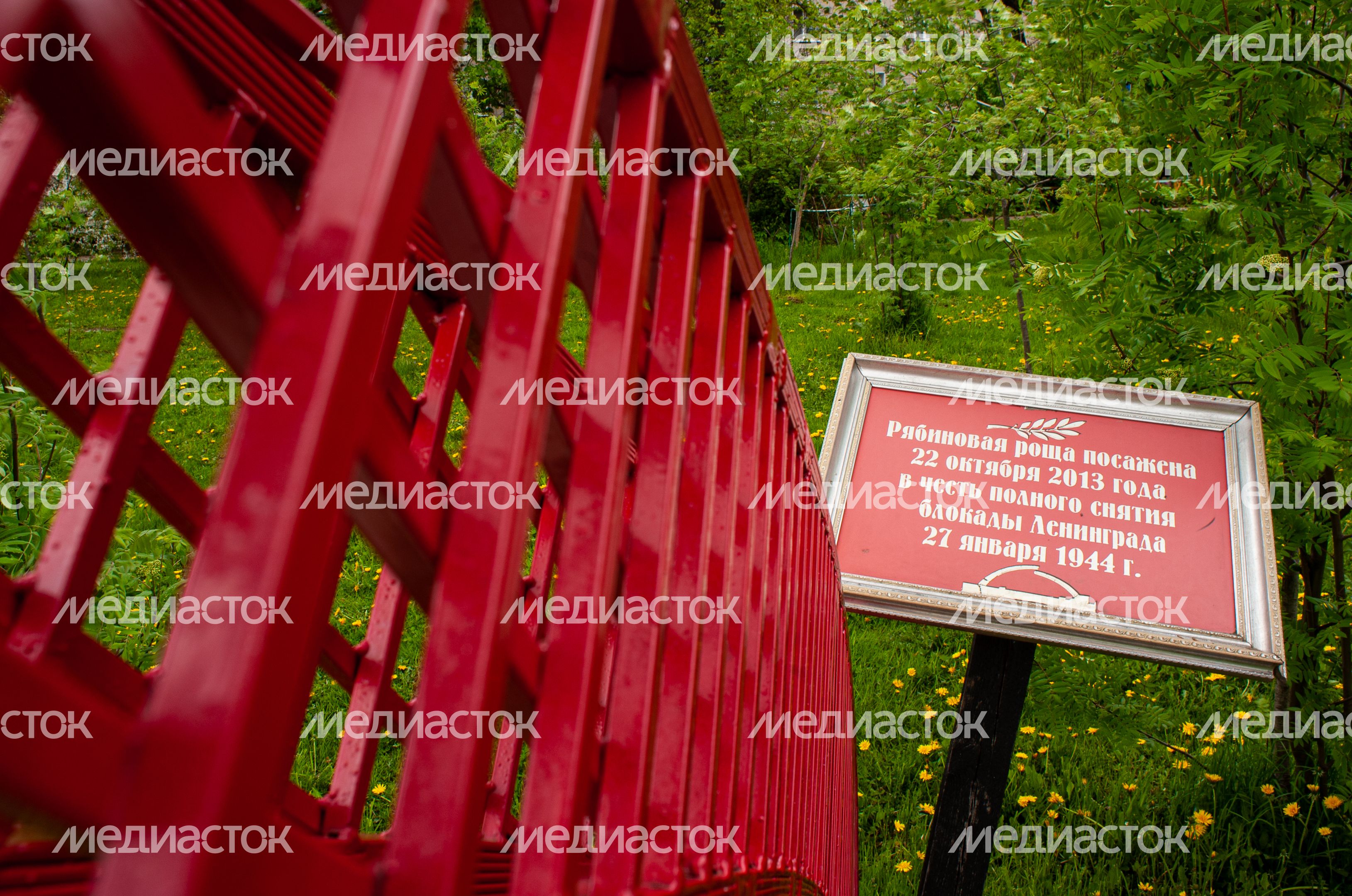 Весенние виды города Пушкино