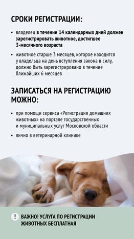 Зарегистрировать домашнее животное ред 2-вертикаль-05.png