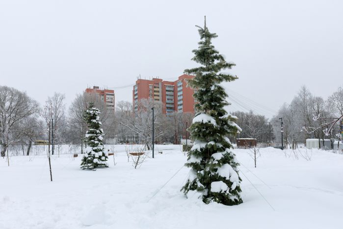 Зима в сквере Защитников Москвы в Лобне