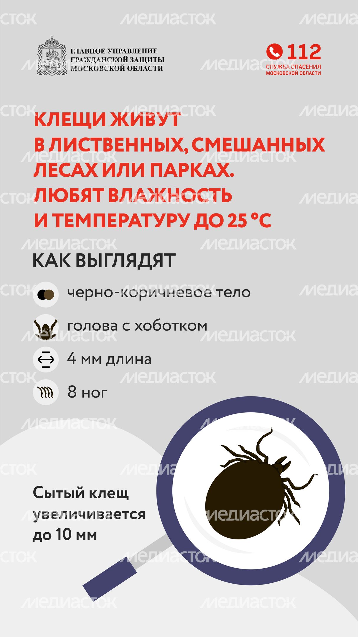 клещи_вертикаль_03