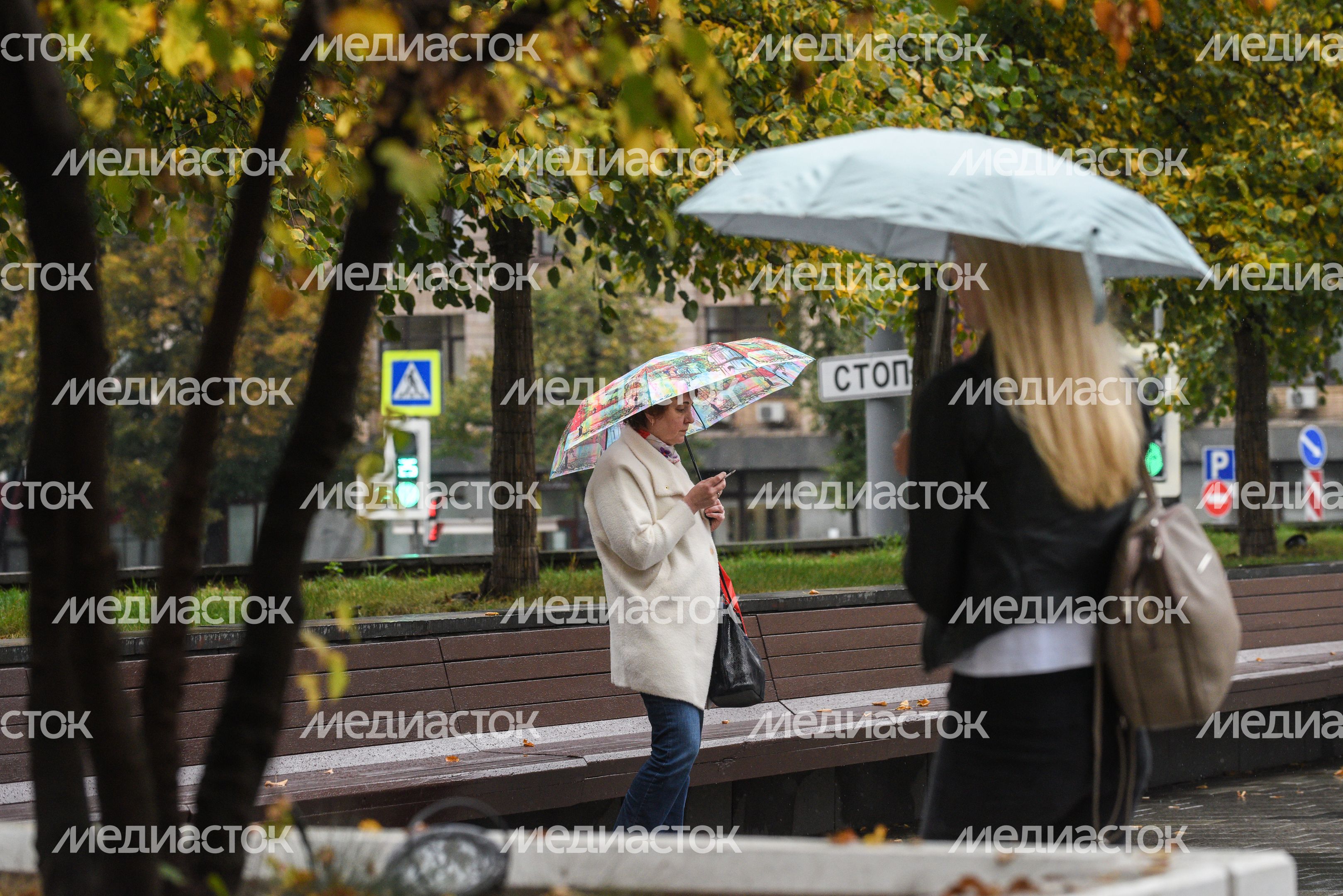 Дождливая погода в Москве