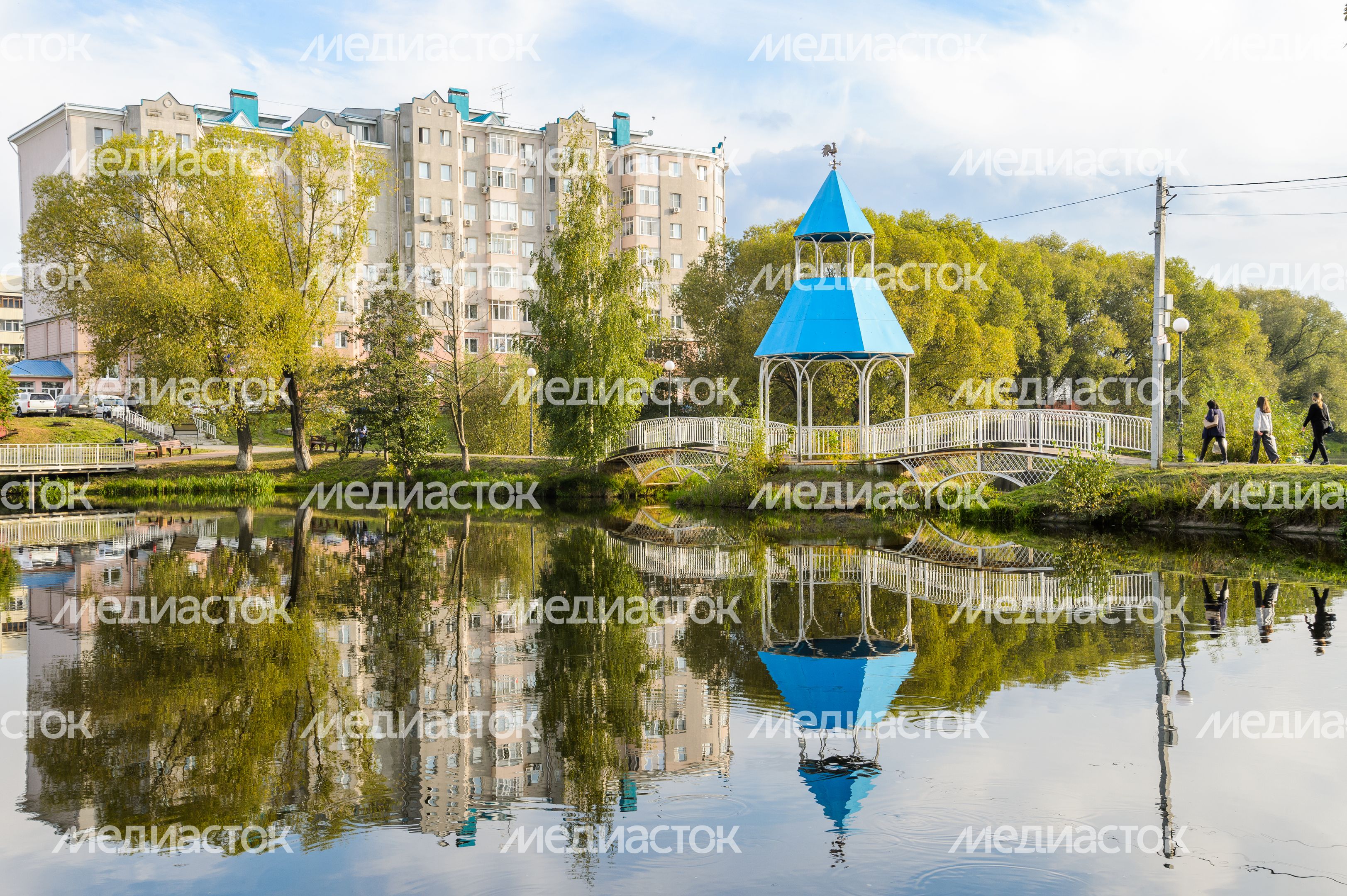 Бронницы. Кожурновский пруд Бронницы. Кожурновский пруд