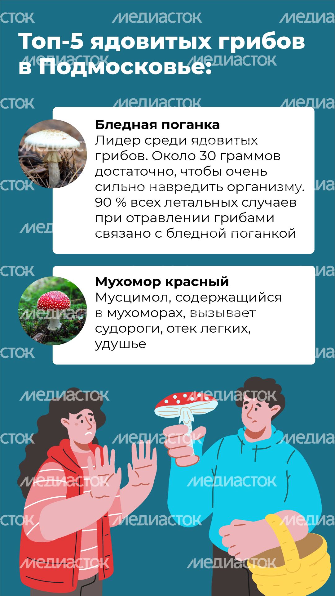 21 Вертикаль_грибы_04-100