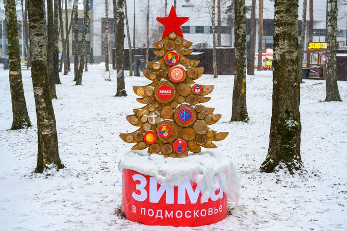Экоелка в парке «Пехорка» в Балашихе зимой