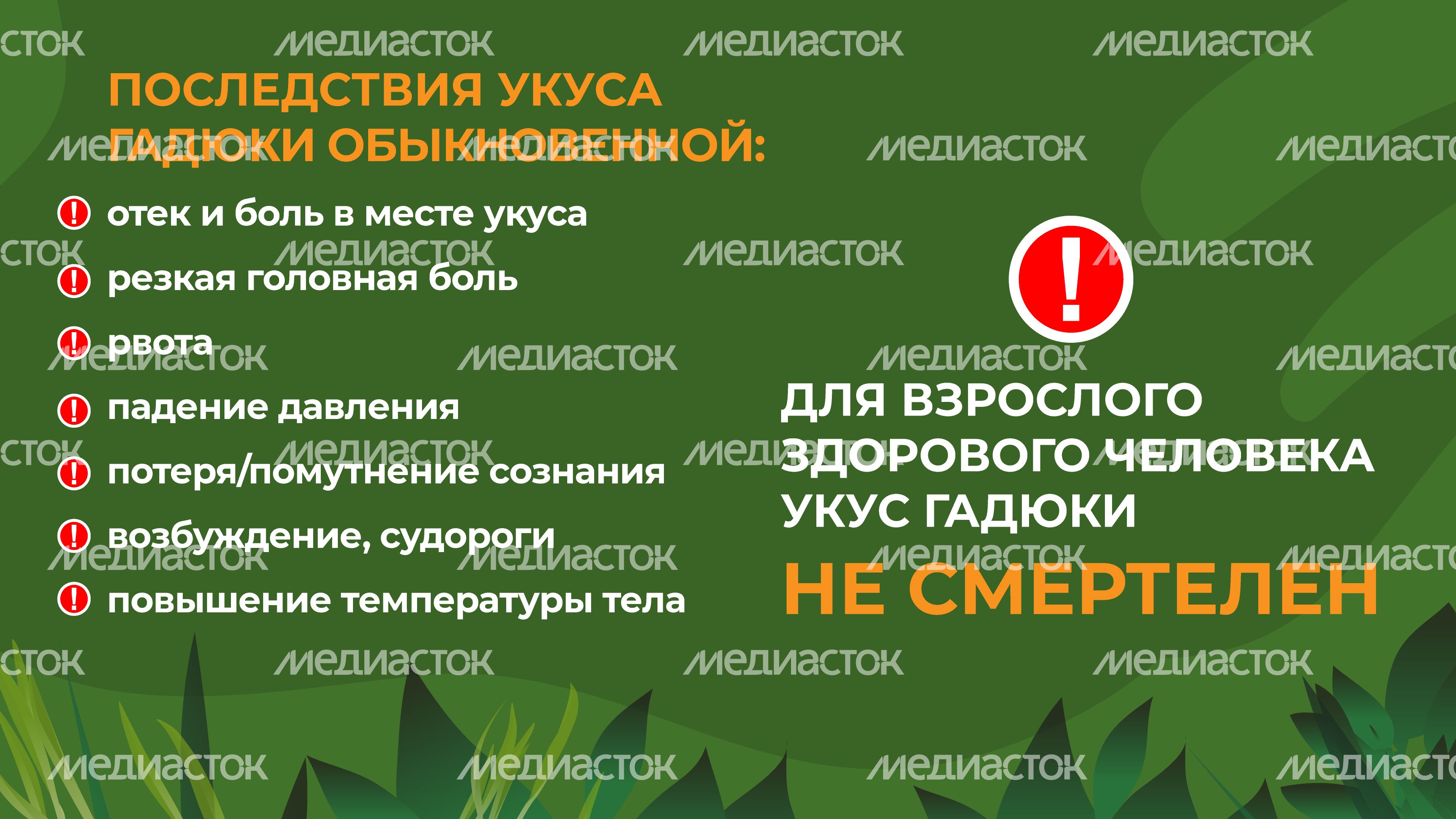 уппр_змеи_гор_8
