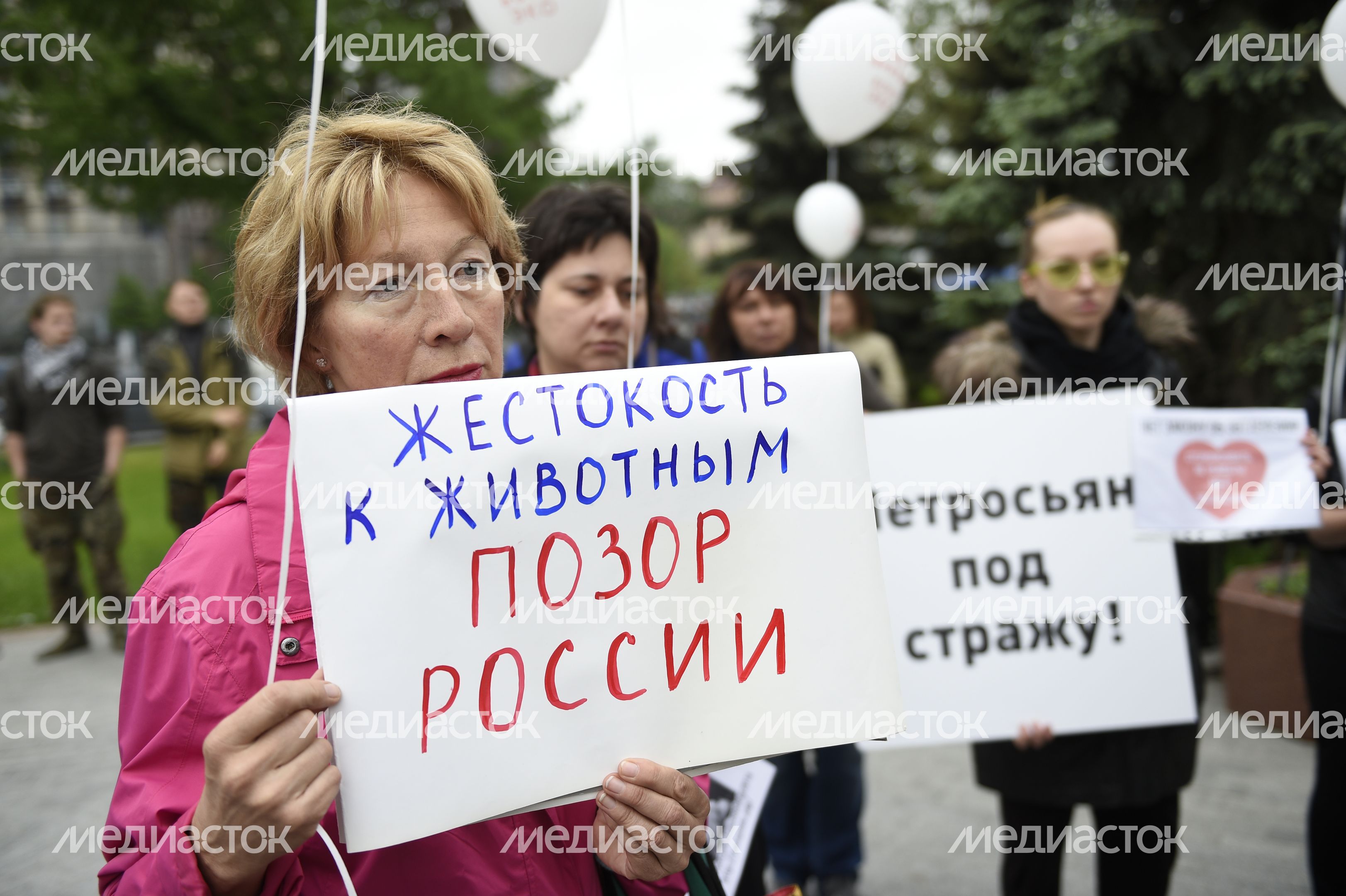 Митинг в защиту животных из приютов в Москве