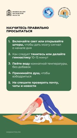 Как правильно отдыхать и высыпаться вертикаль 07