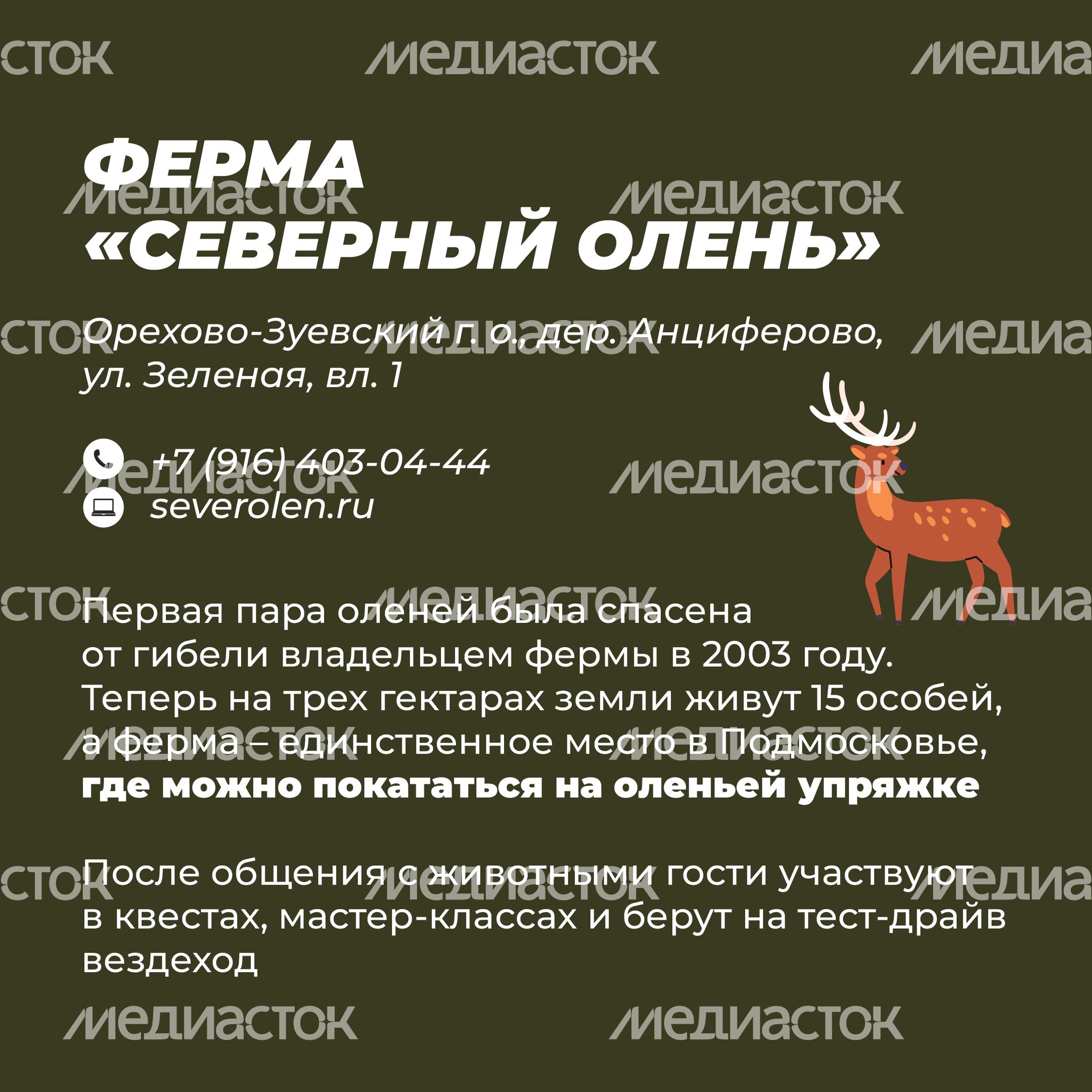 Фермы с животными-31.jpg