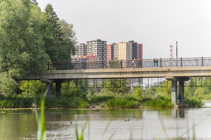 Мост Влюбленных в Балашихе