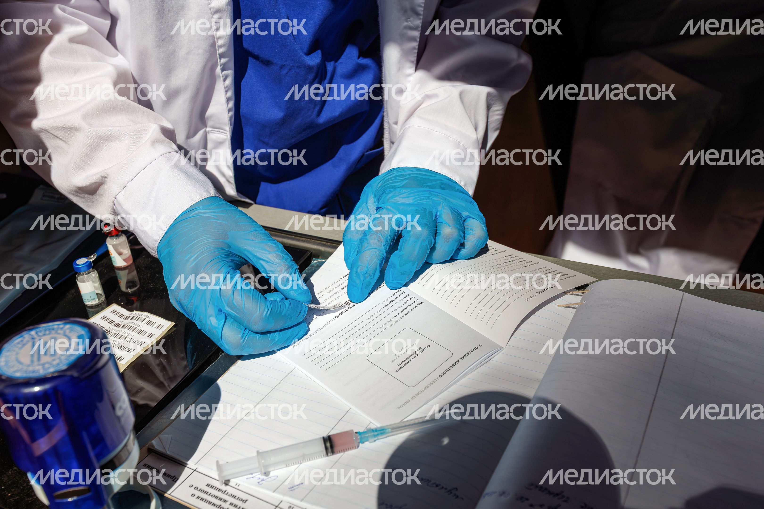 Выездная вакцинация, регистрация и чипирование домашних животных в Звенигородском парке Одинцовского округа Выездная вакцинация, регистрация и чипирование домашних животных в Звенигородском парке Одинцовского округа