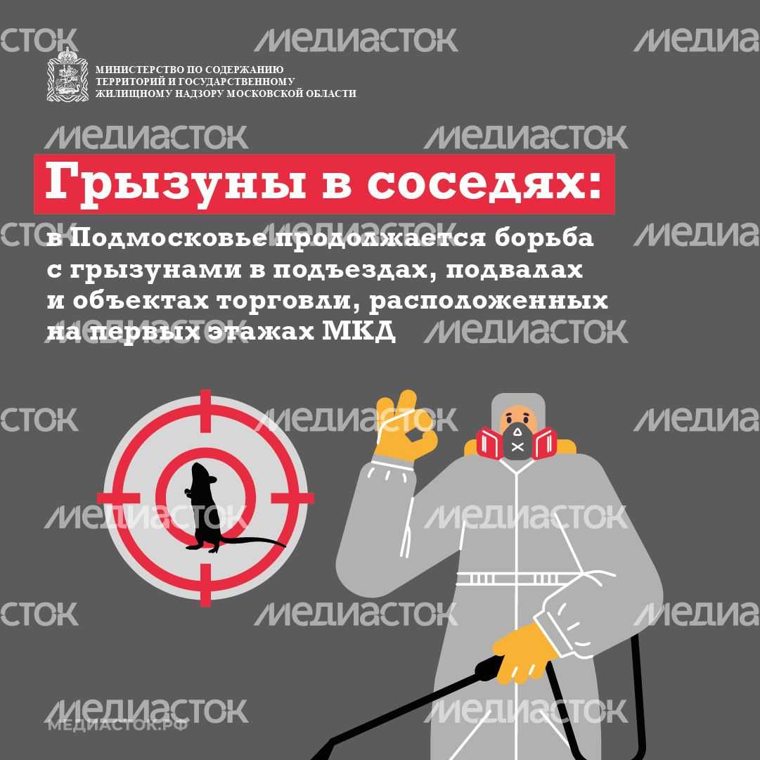 Крысы в МКД квадрат (1) Крысы в МКД квадрат (1)
