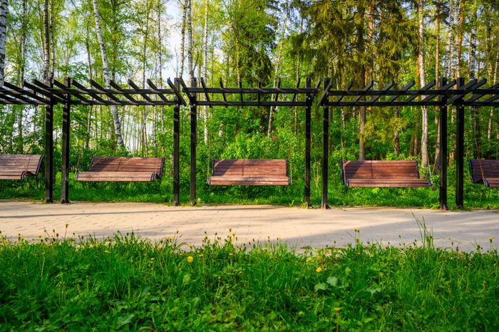 Парк «Малаховское озеро» в поселке Малаховка округа Люберцы