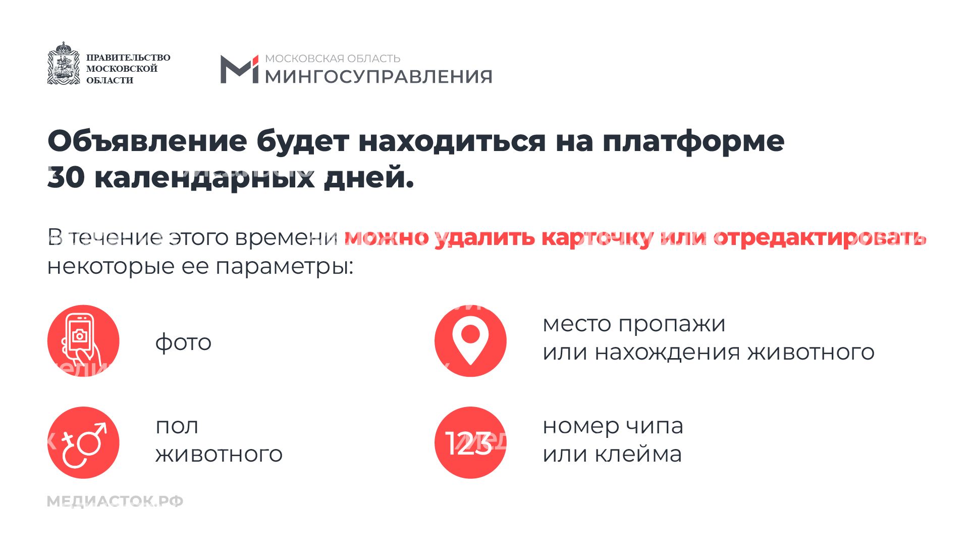 Домашние животные горизонталь 08 Домашние животные горизонталь 08