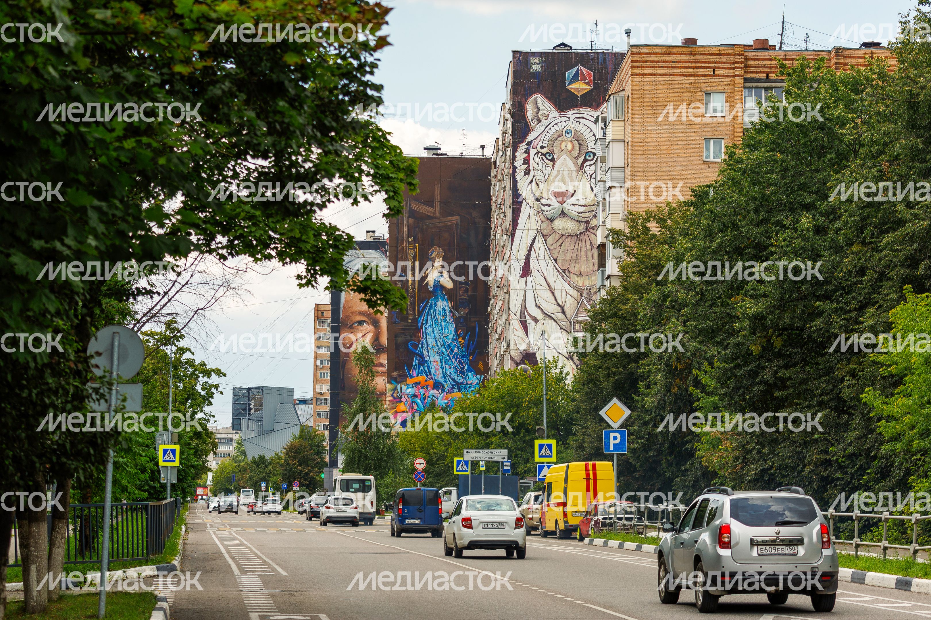 Муралы в Железнодорожном, Балашиха