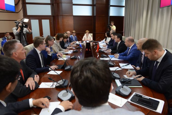 Губернатор Подмосковья провел встречу с послом Нидерландов в РФ