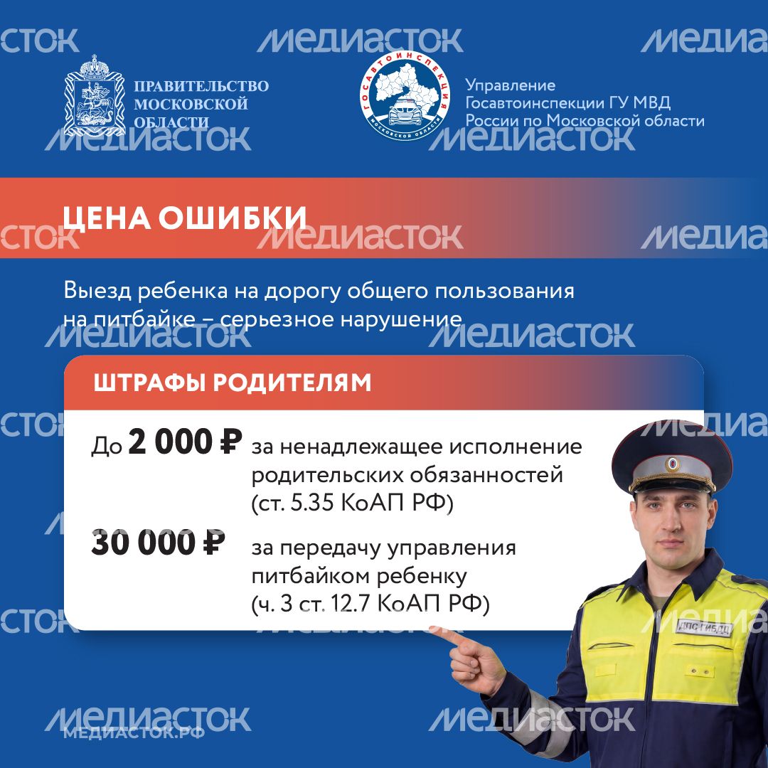 Что такое питбайк квадрат 08
