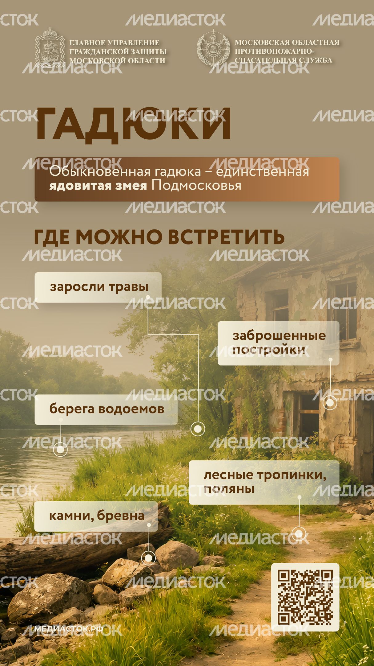 Гадюки вертикаль 01 Гадюки вертикаль 01