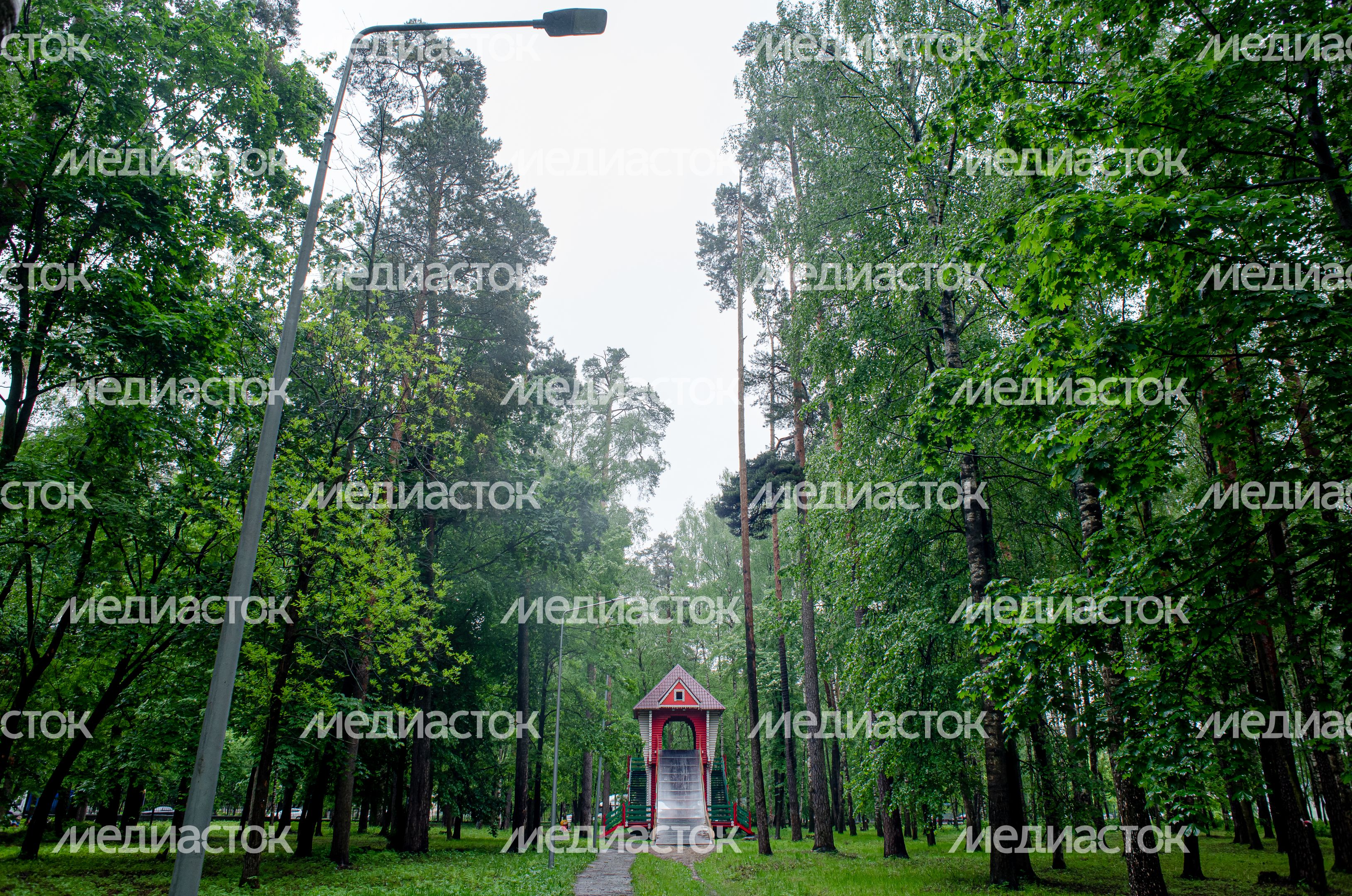 Летние виды города Ногинск