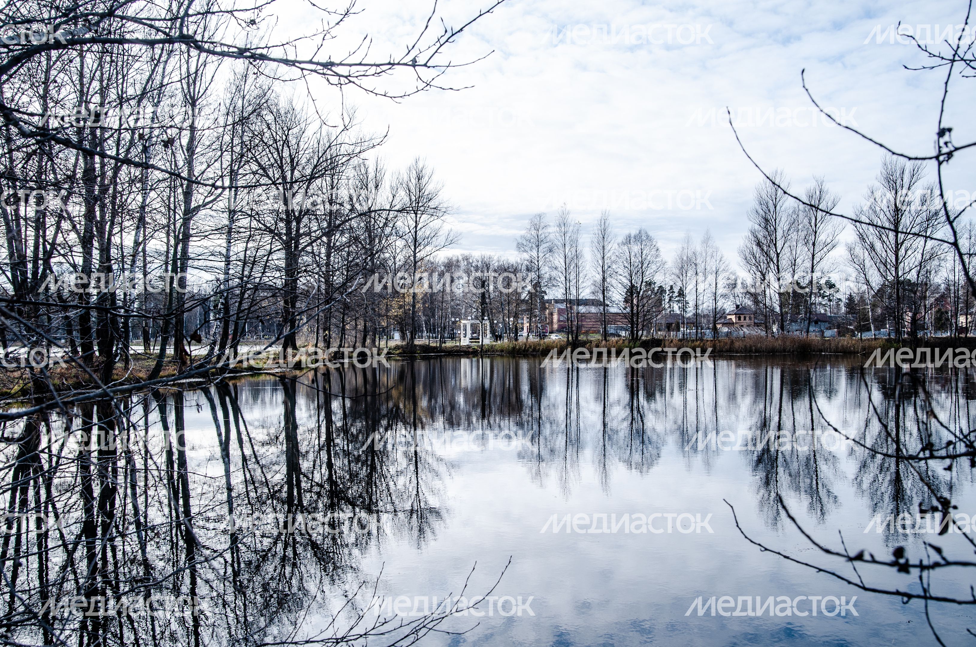 Виды города Электрогорск