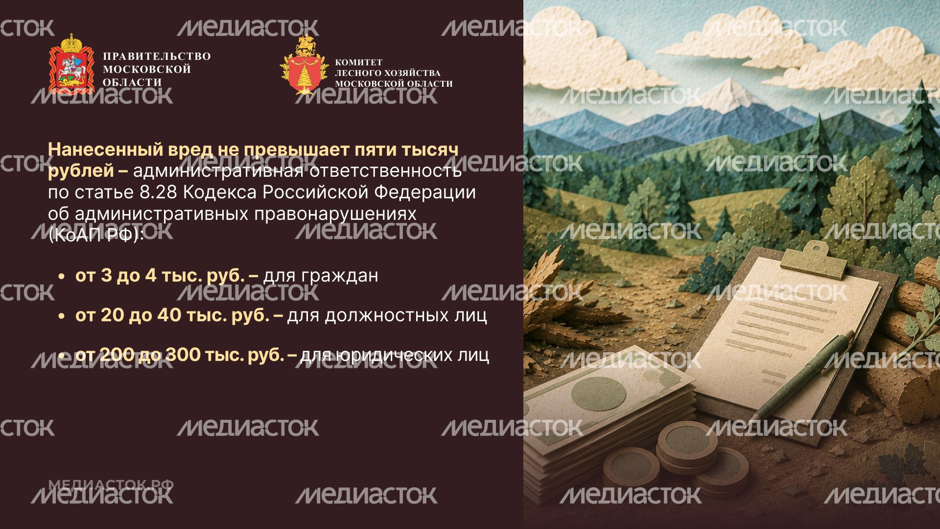 Незаконная рубка горизонталь 03