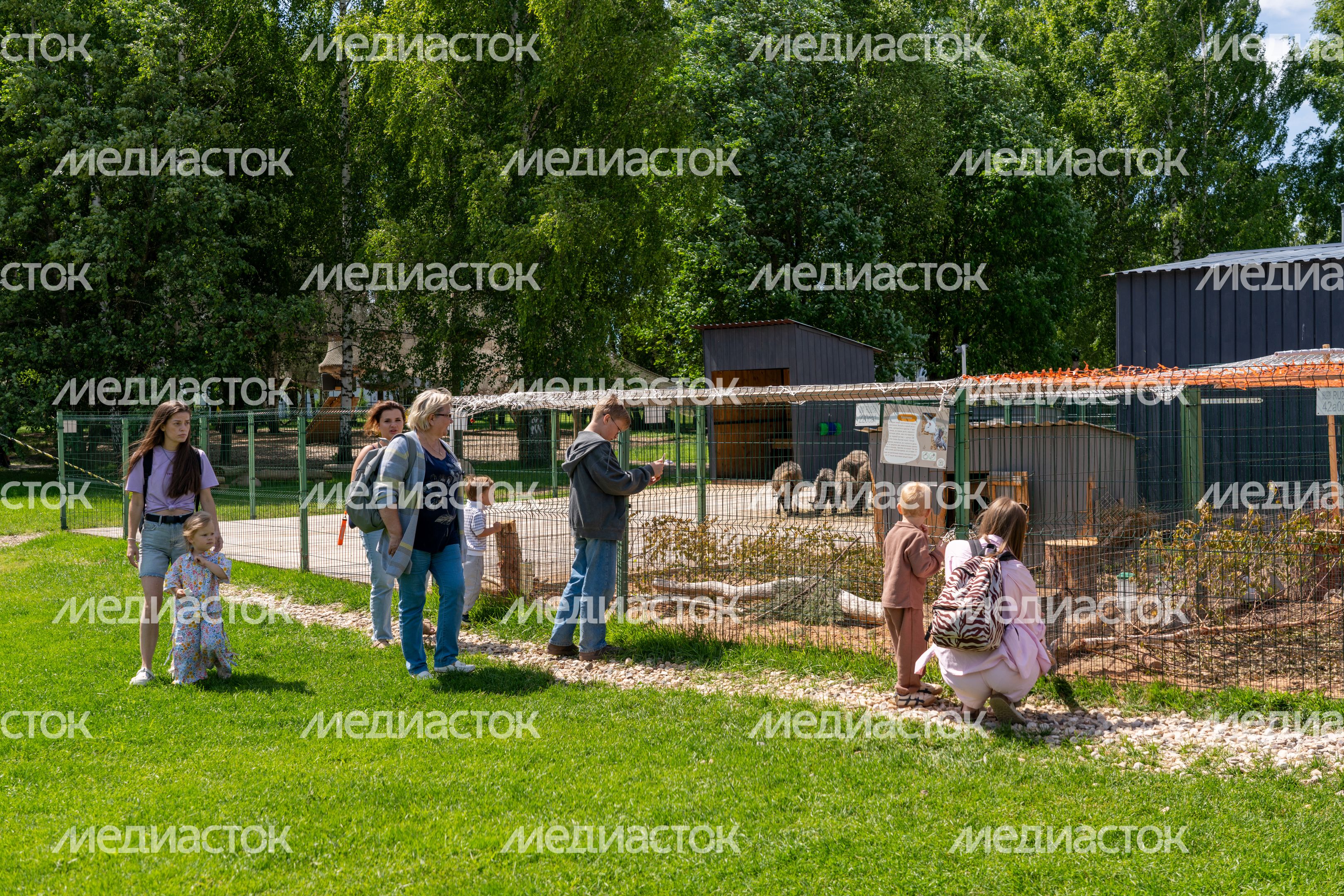 Семейная ферма «Цыпарк» - место для отдыха с детьми на природе Семейная ферма «Цыпарк» - место для отдыха с детьми на природе