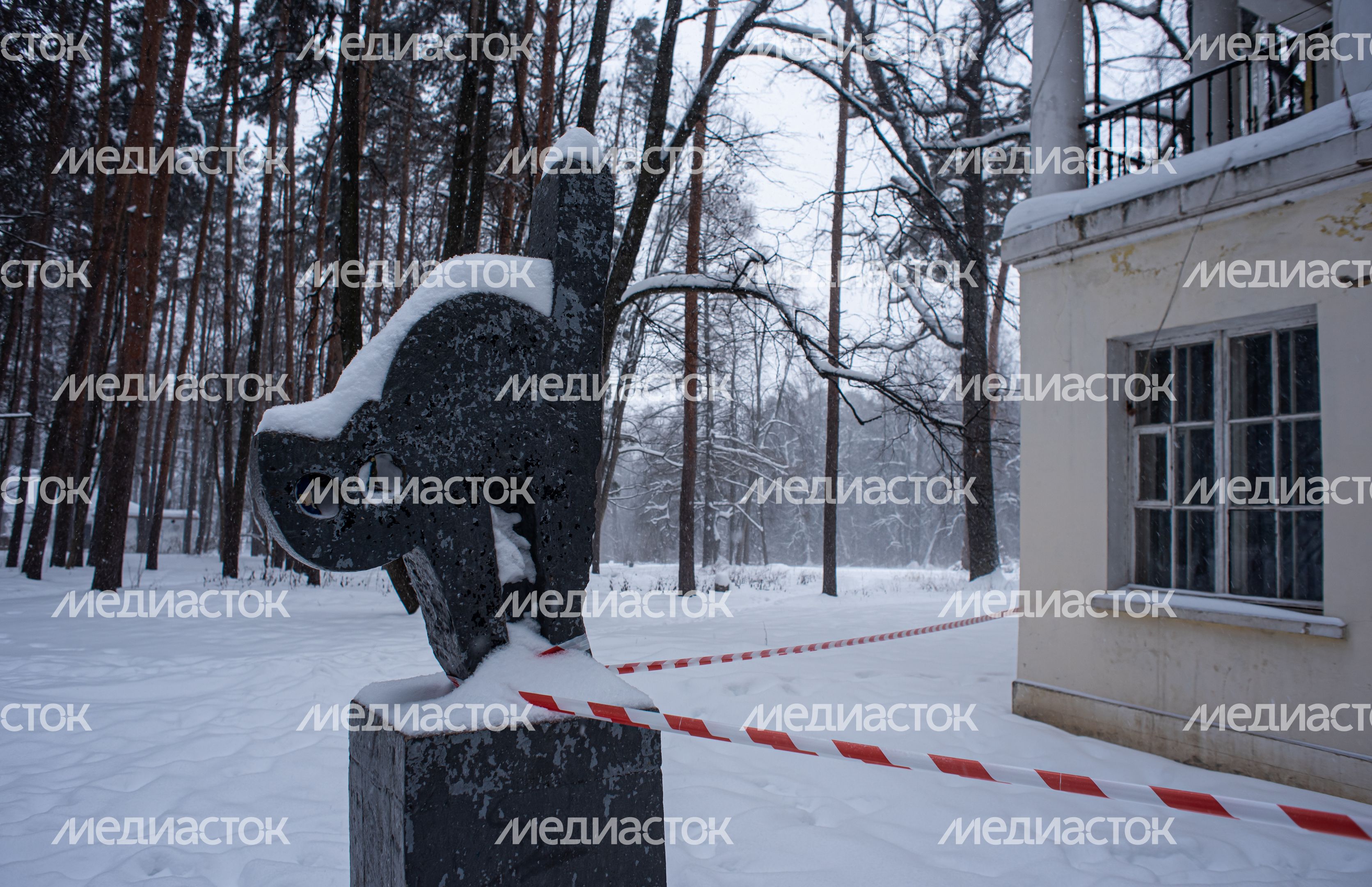 Зимние виды усадьбы Суханово