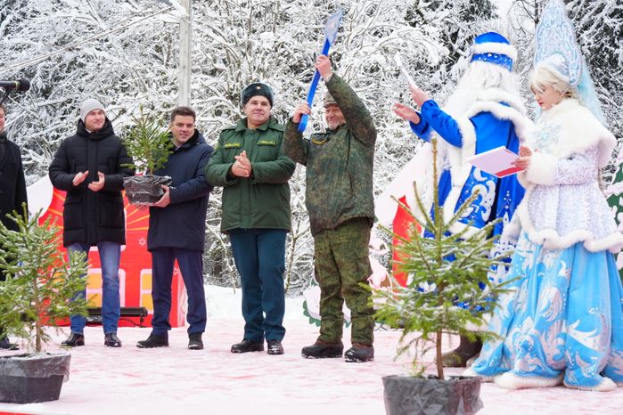 В Можайском городском округе спилили главную новогоднюю ель страны
