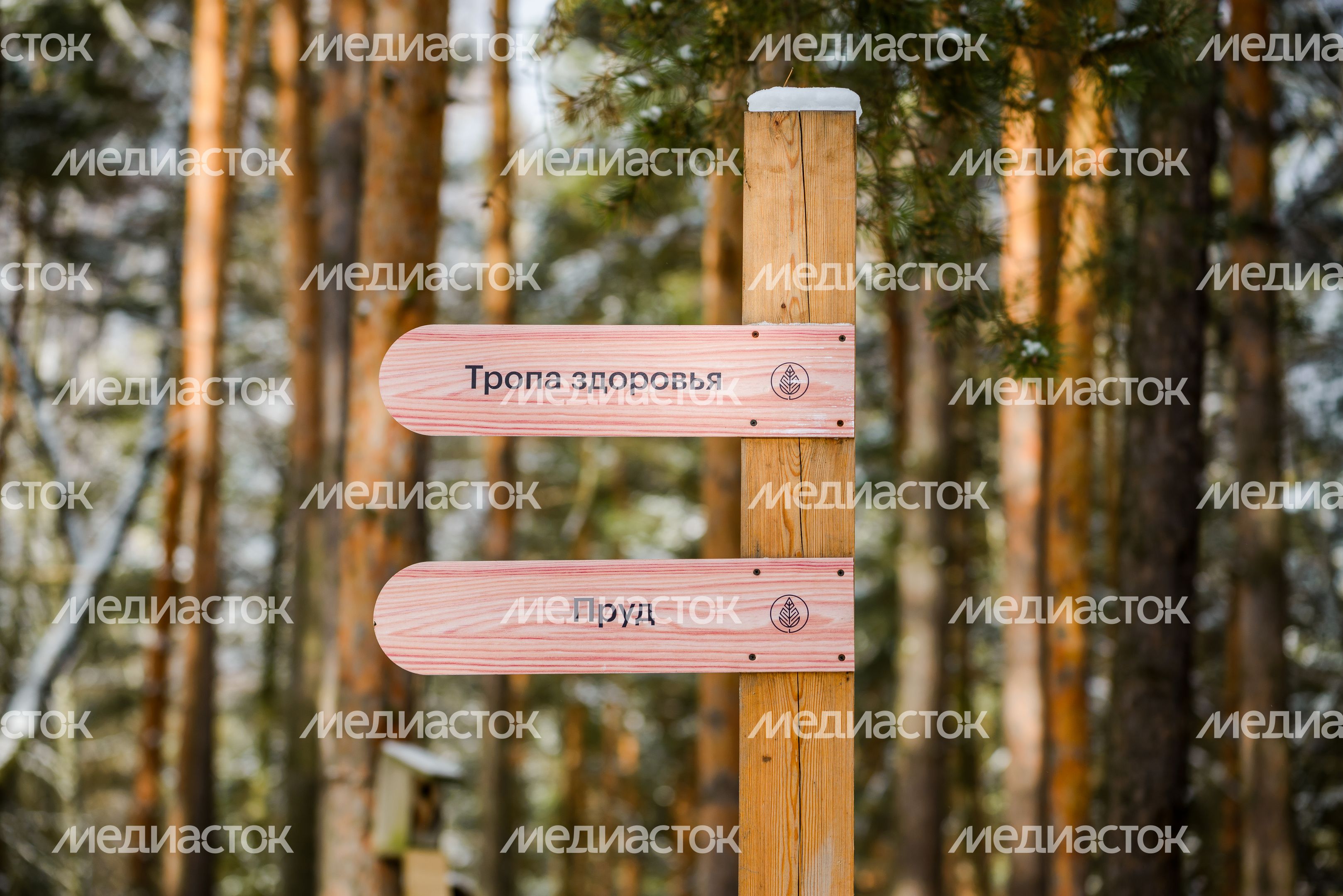 Лесопарк «Лесная опушка» в поселке Октябрьский округа Люберцы Лесопарк «Лесная опушка» в поселке Октябрьский округа Люберцы