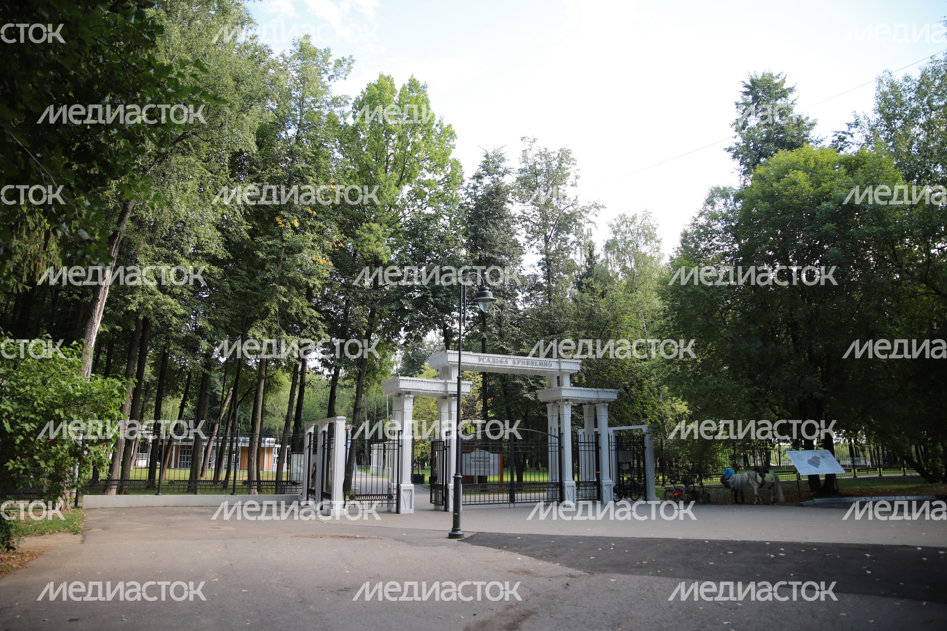 Кривякино