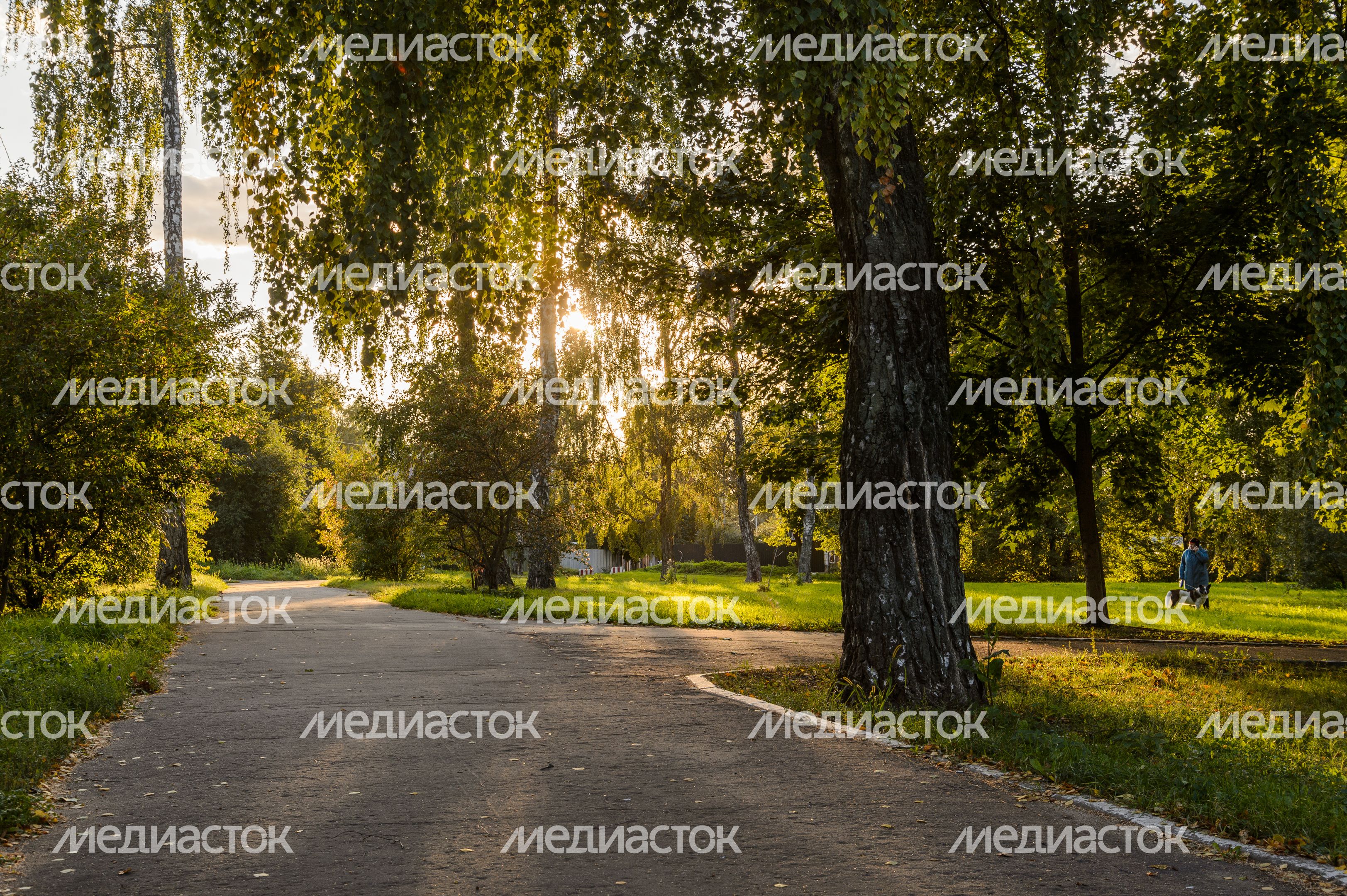 Бронницы. Мемориальный парк А.А. Пушкина