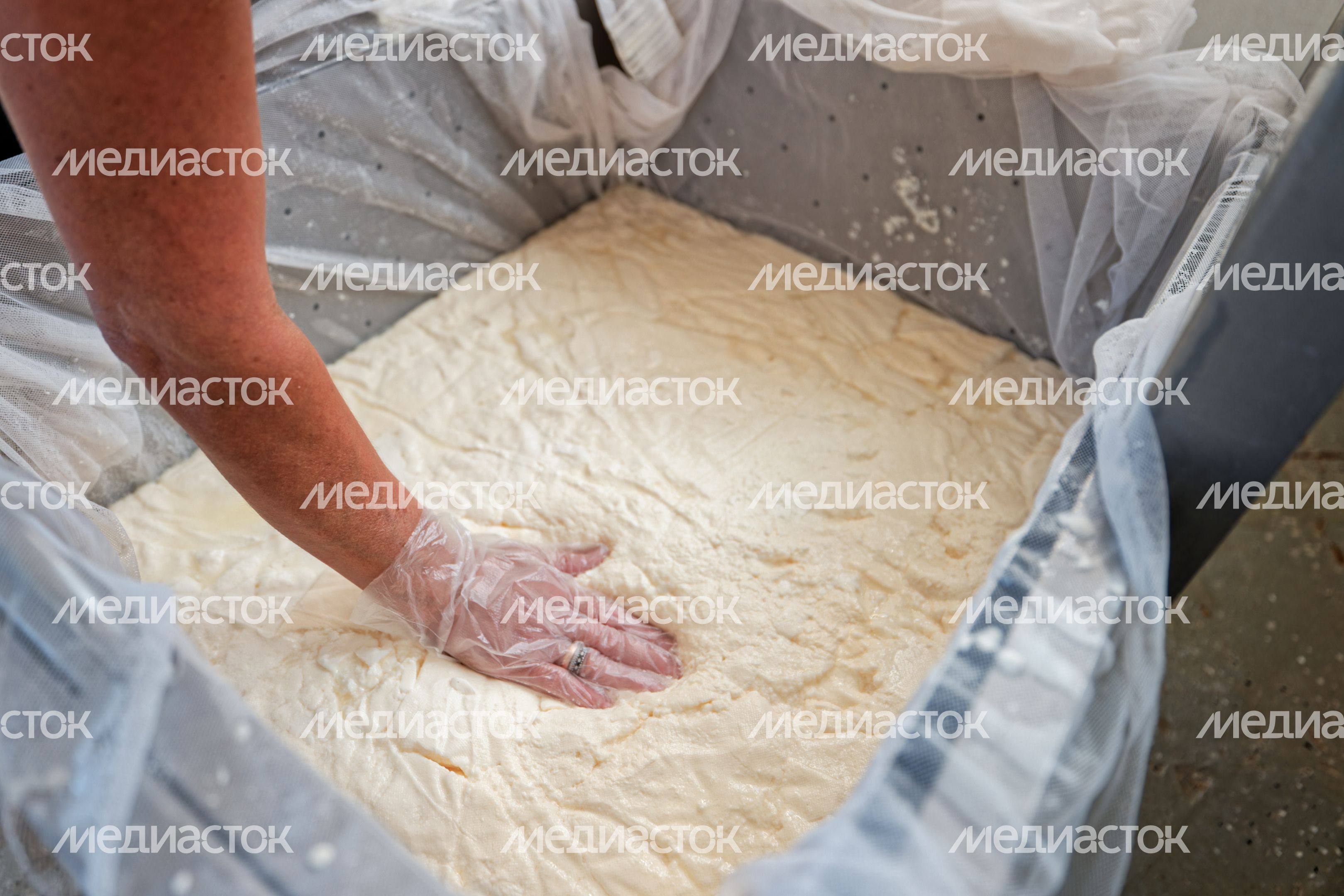 Молочная ферма "Черный лис" в Чехове Молочная ферма "Черный лис" в Чехове