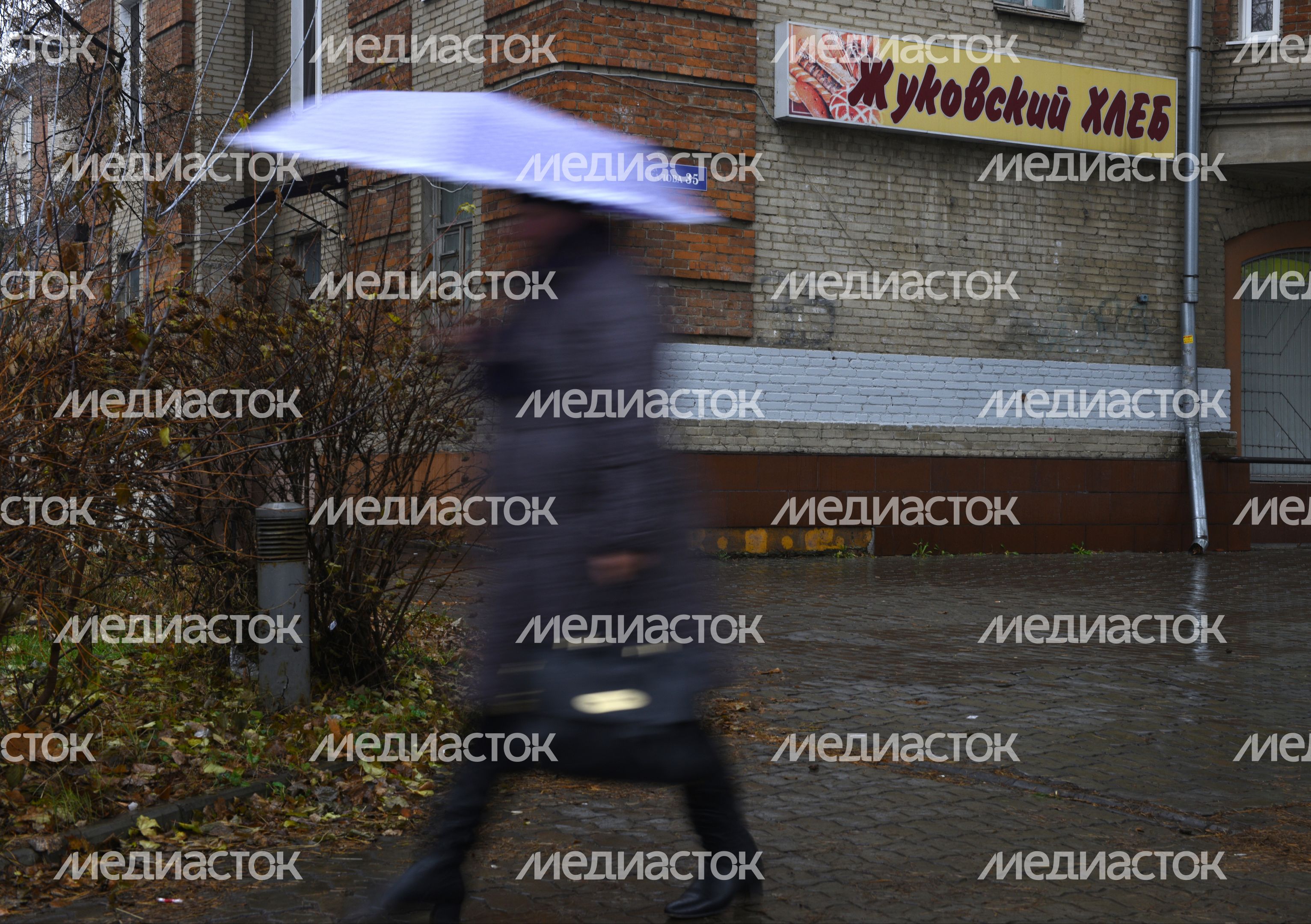 Дождь в Жуковском