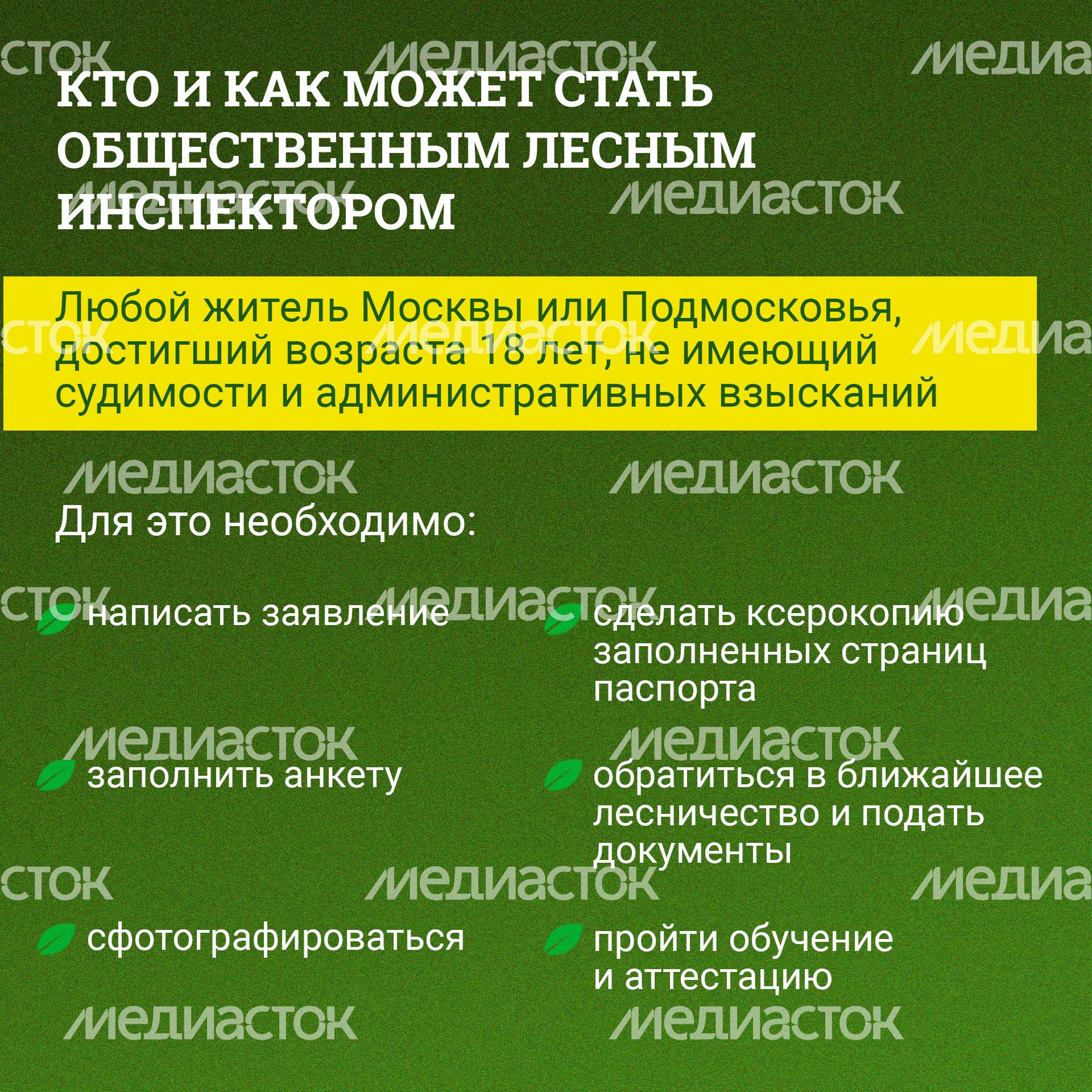 Квадрат_Как_стать_общественным_лесным_инспектором_в_Подмосковье_03.jpg
