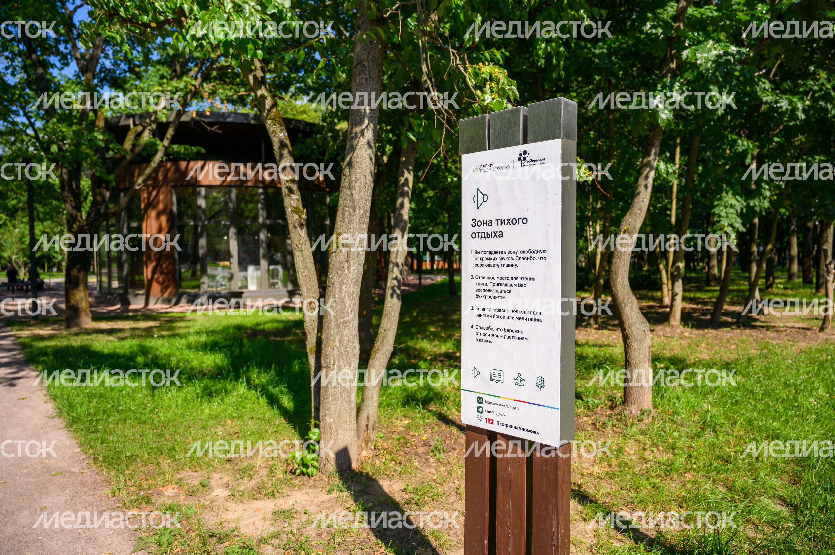 Лето в Наташинском парке Люберец