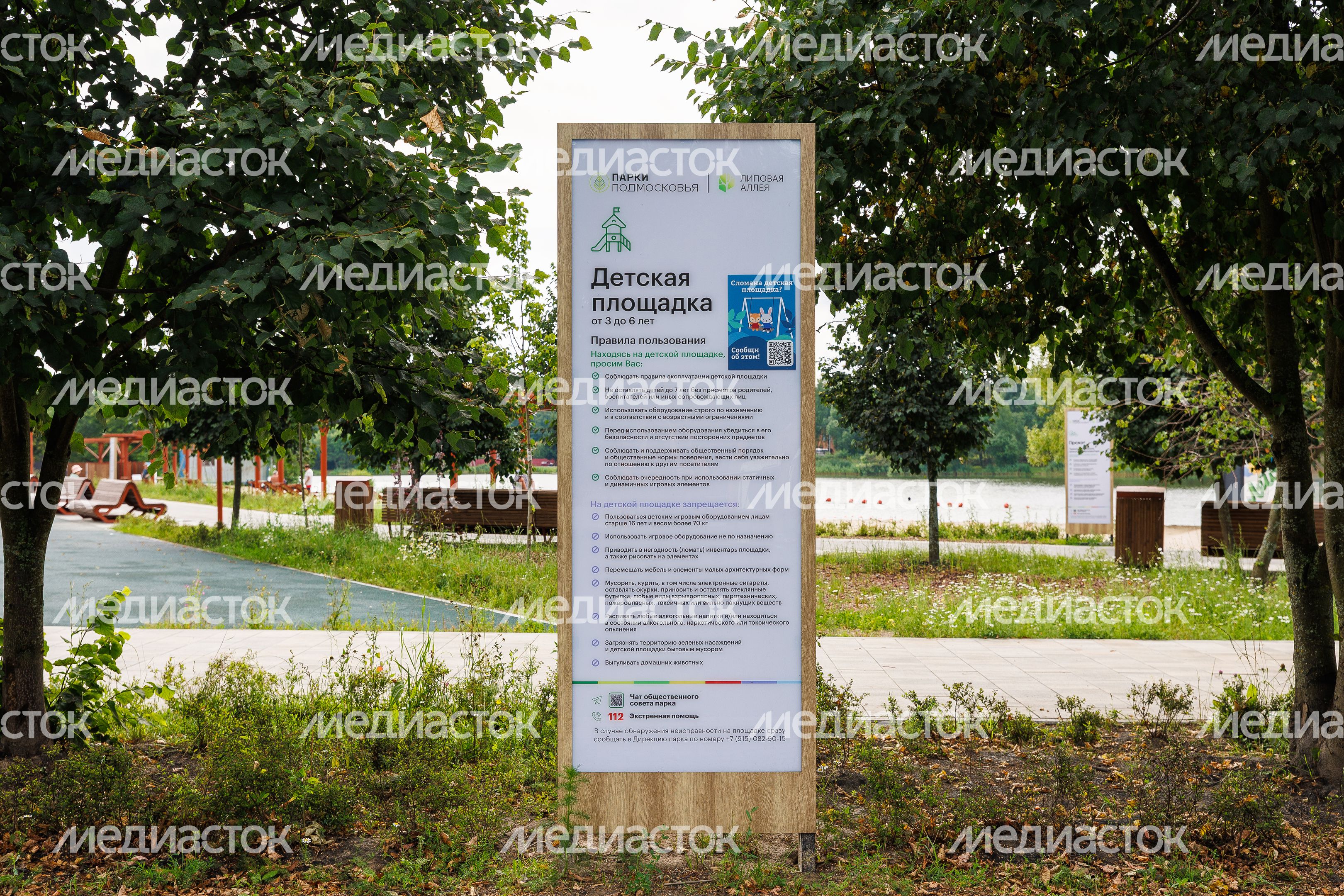 Парк "Липовая аллея" в Электроуглях