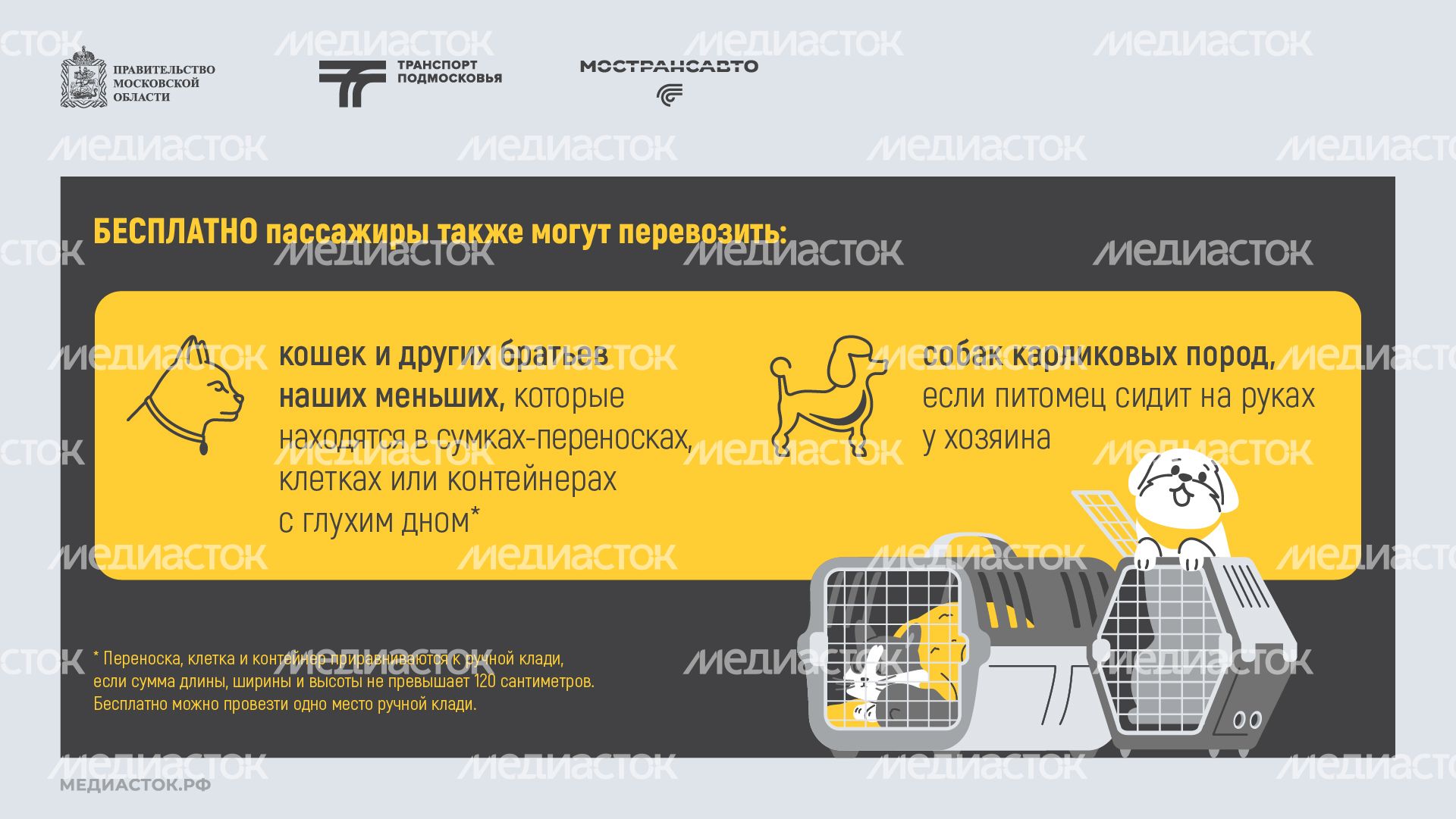 Правила перевозки животных горизонталь 04