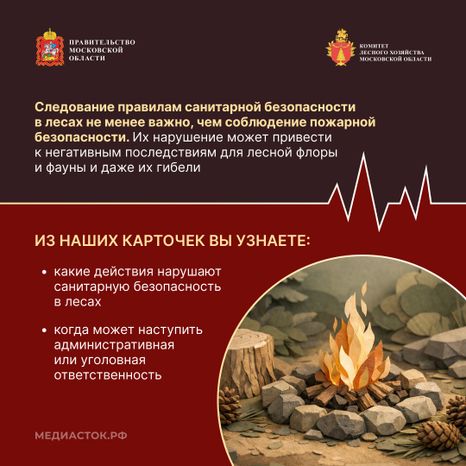 Санитарная безопасность в лесах квадрат 02