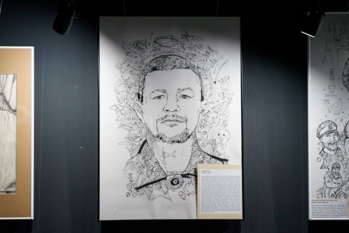 Домодедово. Молодежный центр "Победа". Выставка "Свои"