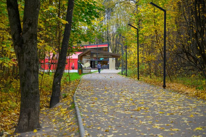 Парк «Апаринки» осенью в городе Видное Ленинского округа