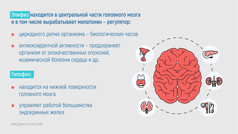 Эндокринные заболевания у наркозависимых горизонталь 04