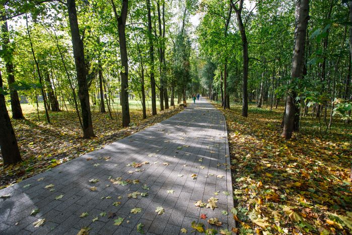 Краснознаменск. Парк «Беличий»
