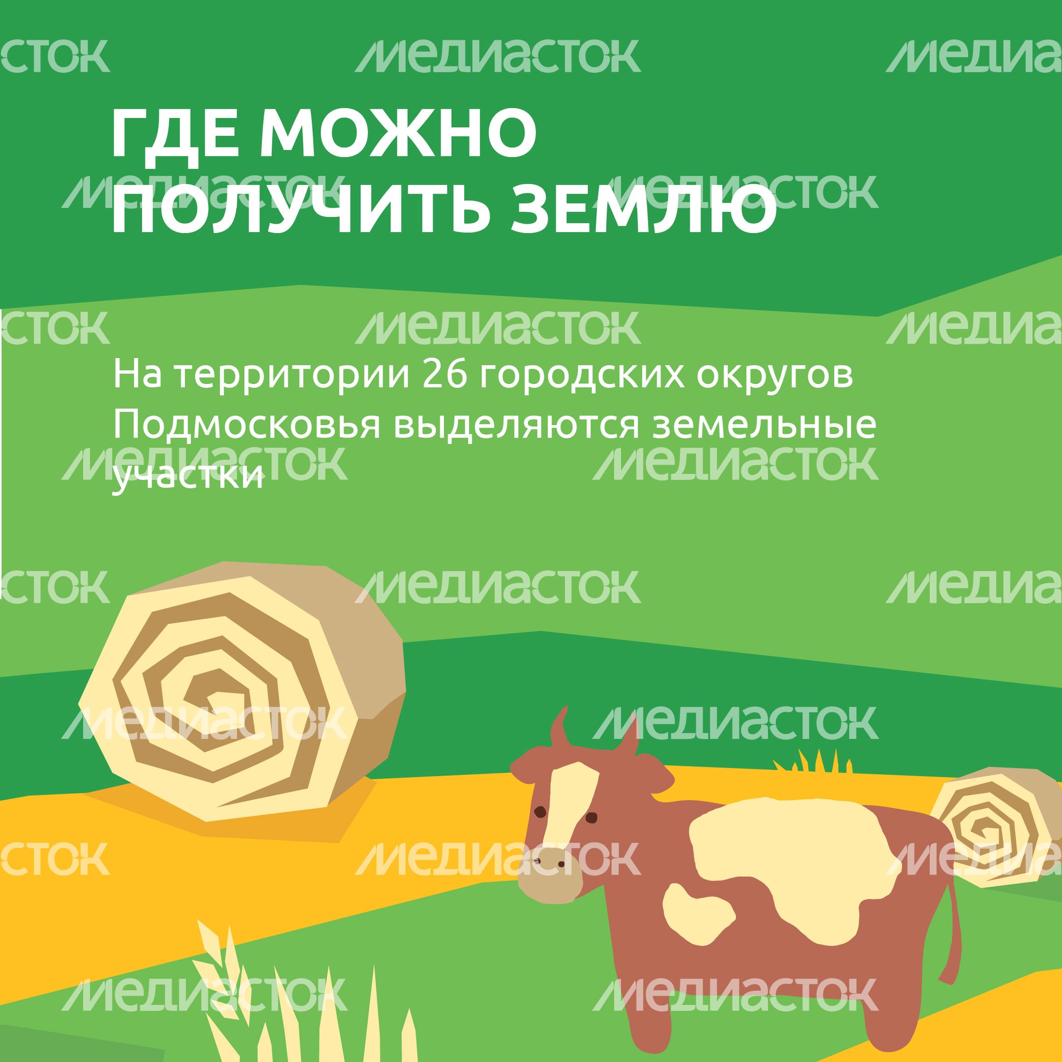 _Подмосковье 10г_-17.jpg