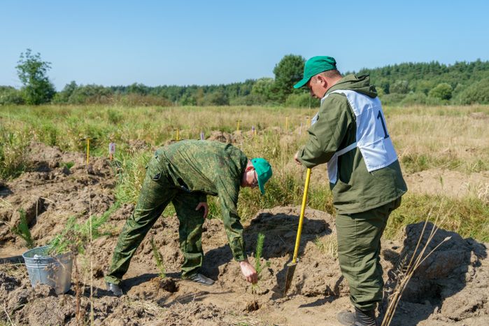 Областной смотр-конкурс на звание "Лесник года" 2024 в округе Воскресенск