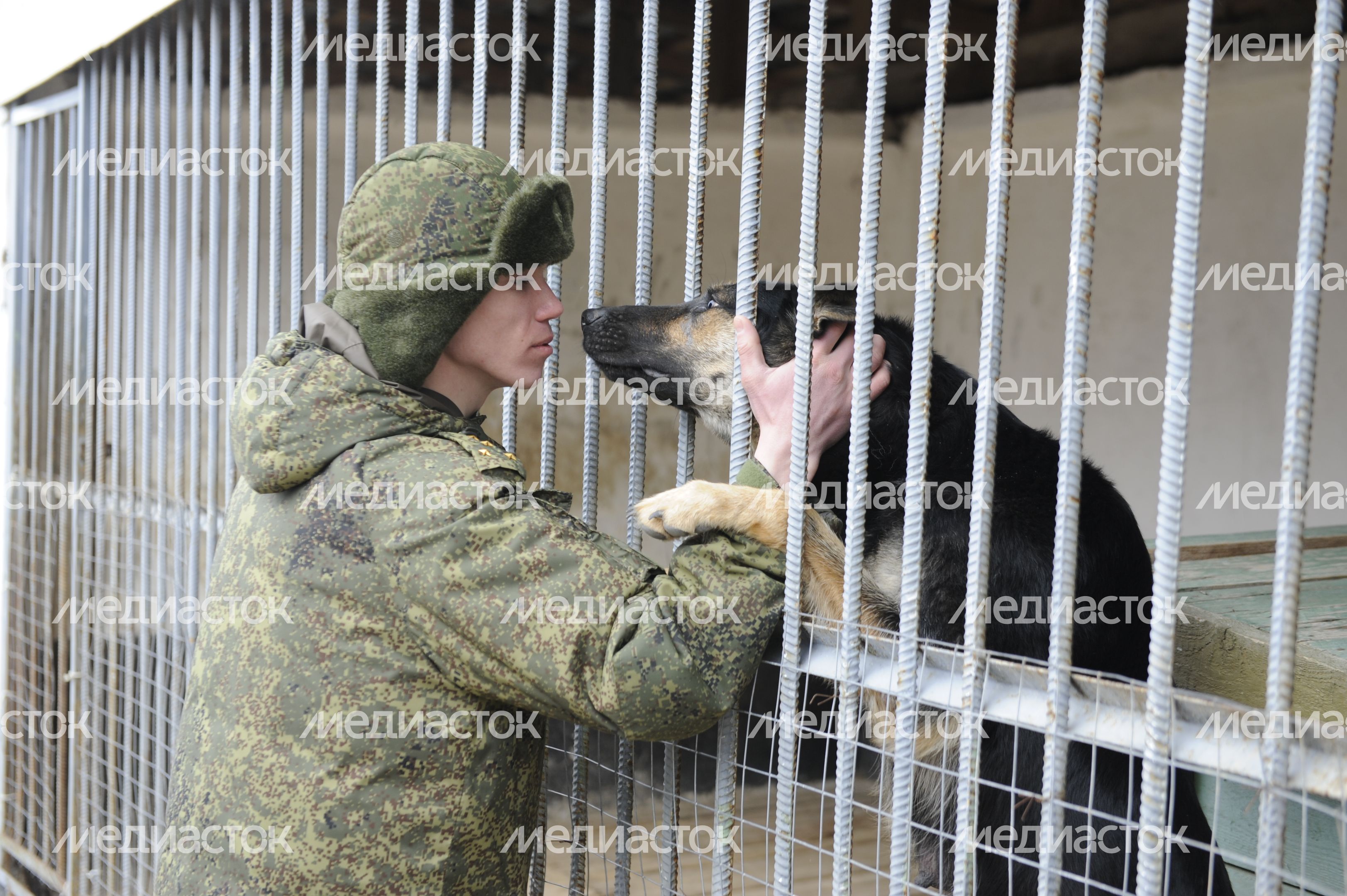 Учебный центр служебного собаководства в Дмитровском районе
