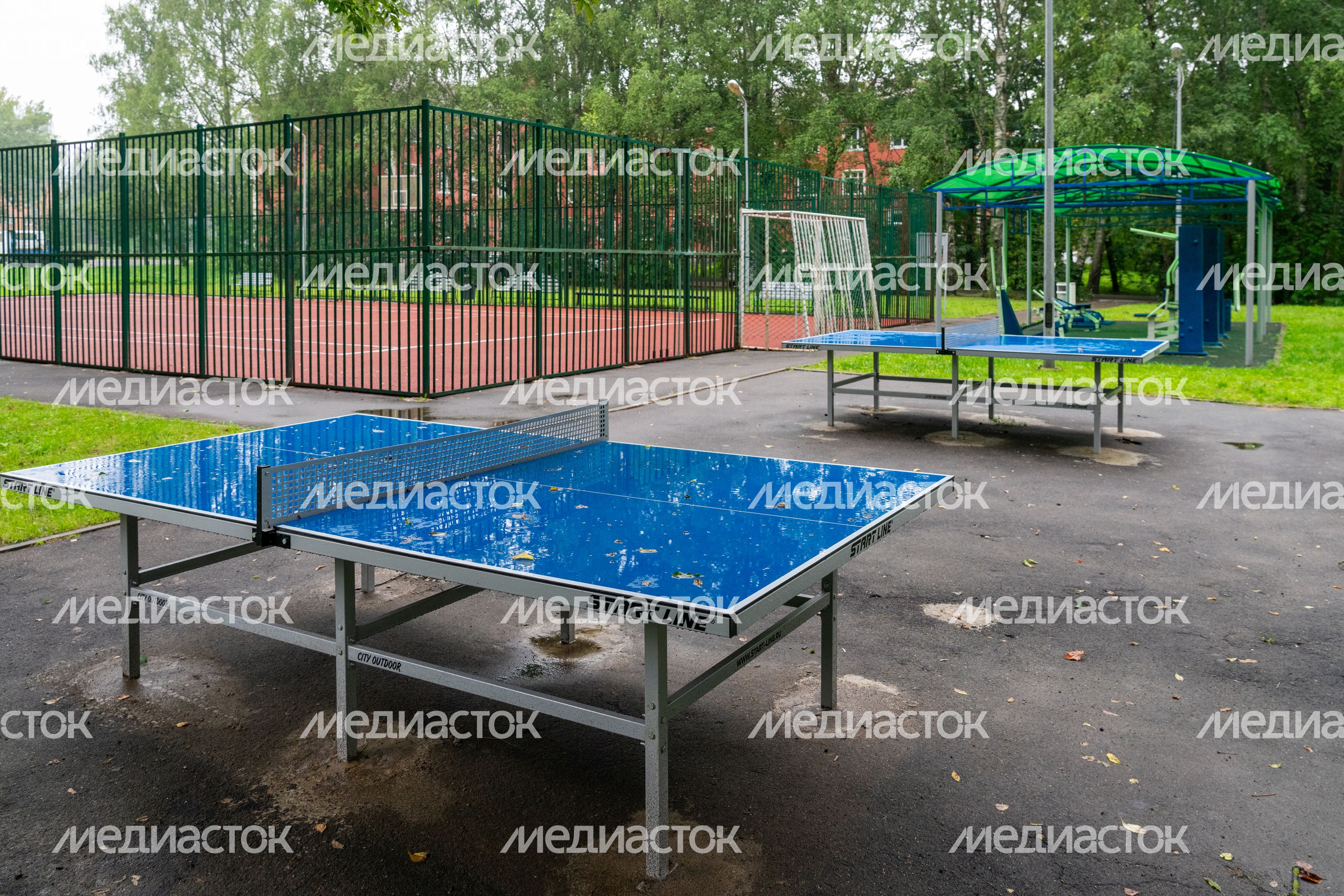 Высоковский городской парк культуры и отдыха «Березовый» в Клину Высоковский городской парк культуры и отдыха «Березовый» в Клину