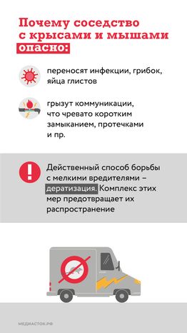 Крысы в МКД вертикаль (2)