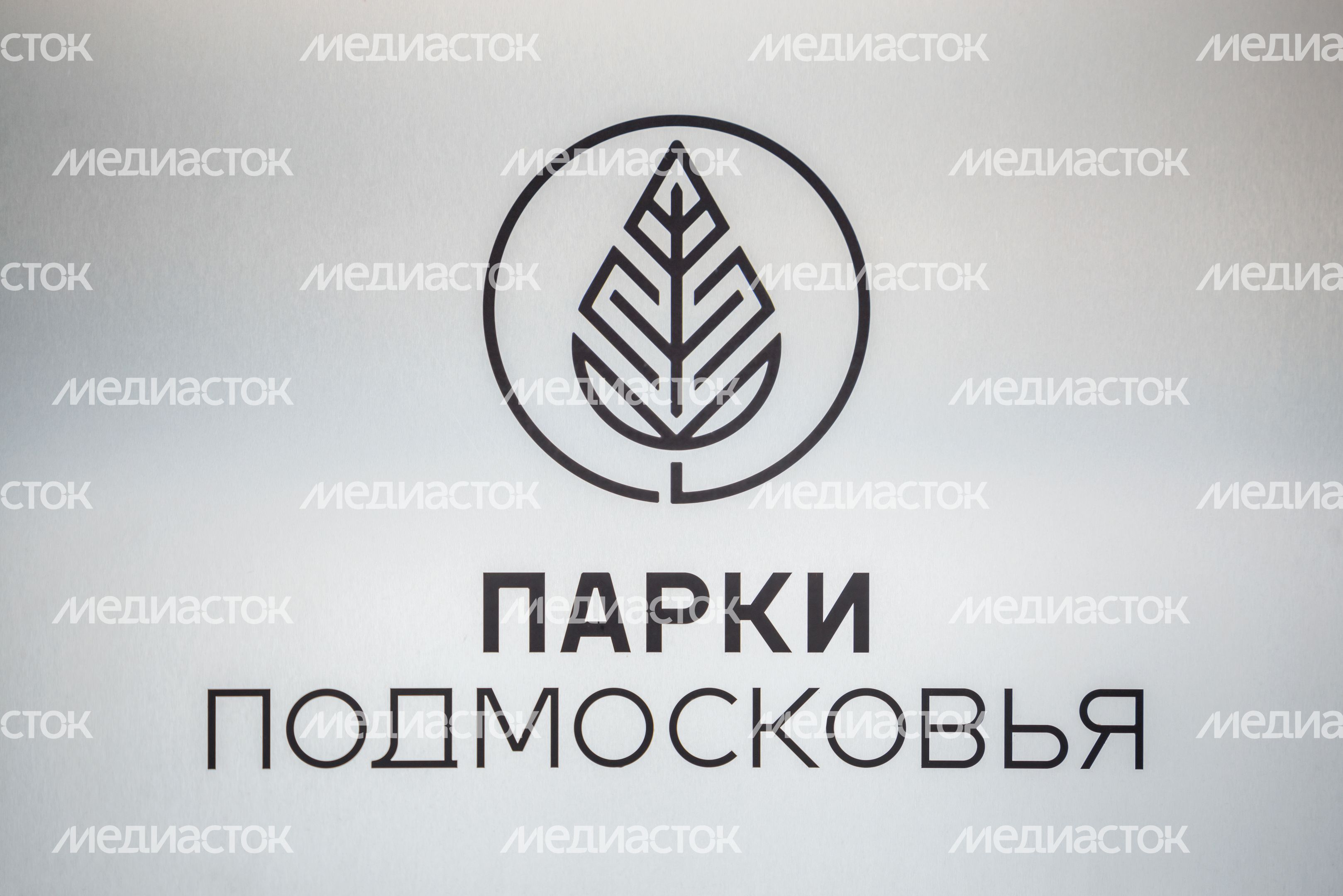 Лесопарк «Лесная опушка» в поселке Октябрьский округа Люберцы Лесопарк «Лесная опушка» в поселке Октябрьский округа Люберцы