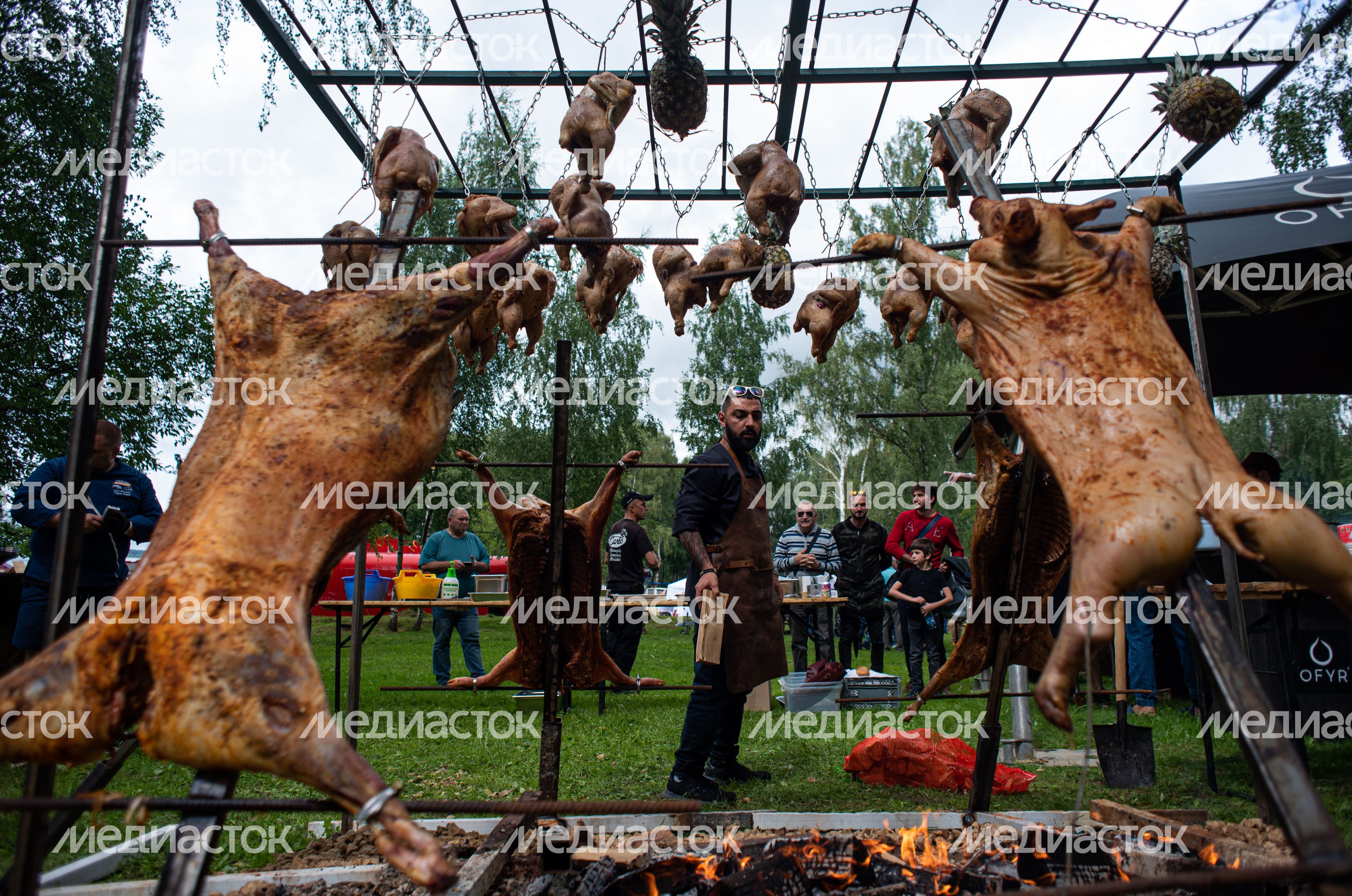 Гастрономический фестиваль Alpaca Wellbeing Fest